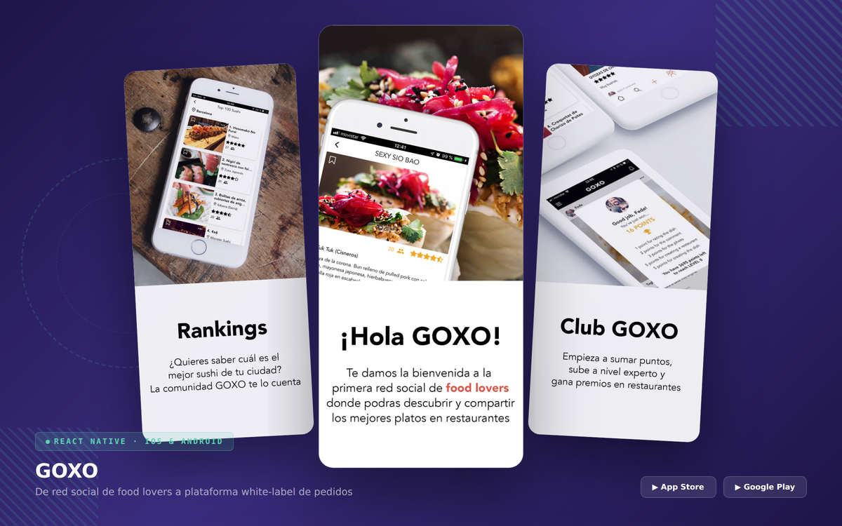 GOXO - Vista general del proyecto
