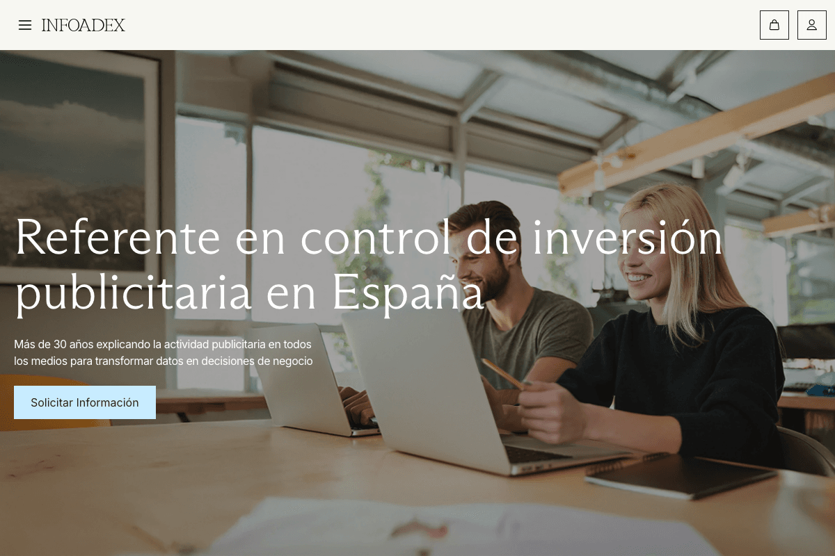 InfoAdex - Vista general del proyecto